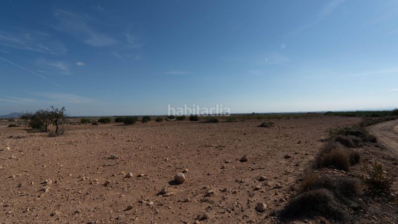 Foto f49bba76-2f89-4ade-9784-8d27295c2050. Terreny residencial a Corvera Murcia