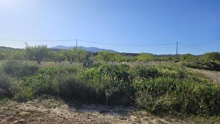 Rural plot  Camino paraje los garcias. Se vende parcela rústica de 17.000 m2 en corvera