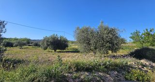 Rural plot  Camino paraje los garcias. Se vende parcela rústica de 17.000 m2 en corvera