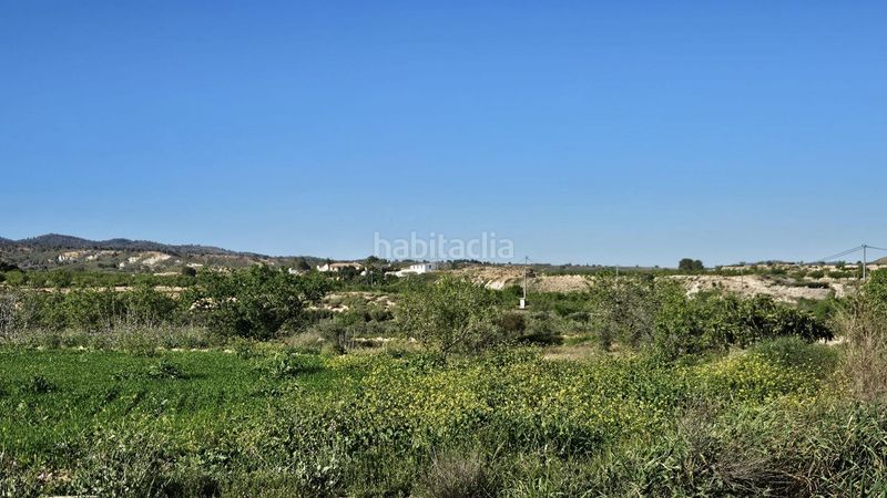 Foto c764bde8-f881-492b-868d-9d05c7f3a573. Finca rústica a Alquerías Murcia