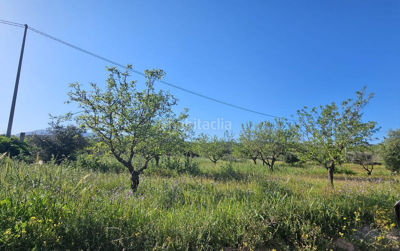 Foto d8f7a092-6b6a-4fbd-b1de-22904b51c76b. Finca rústica a Alquerías Murcia