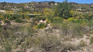 Finca rústica a Polígono Los Leones