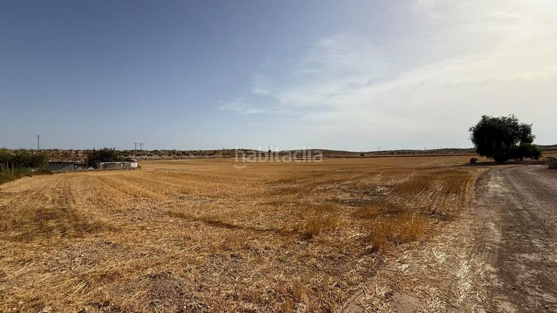 Foto 467a0972-b582-4291-963c-e798a2554979. Masia a Corvera Murcia