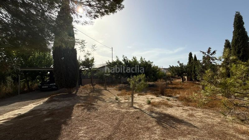 Foto 575bce47-5e4a-4c5f-a085-c46a3790b2a0. Masia a Corvera Murcia