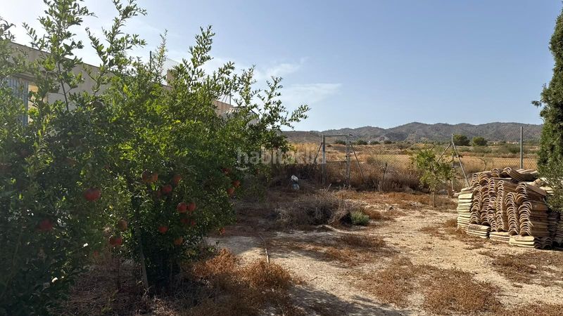 Foto 87f38d49-b1d9-4064-9631-af2e85aa2067. Masia a Corvera Murcia