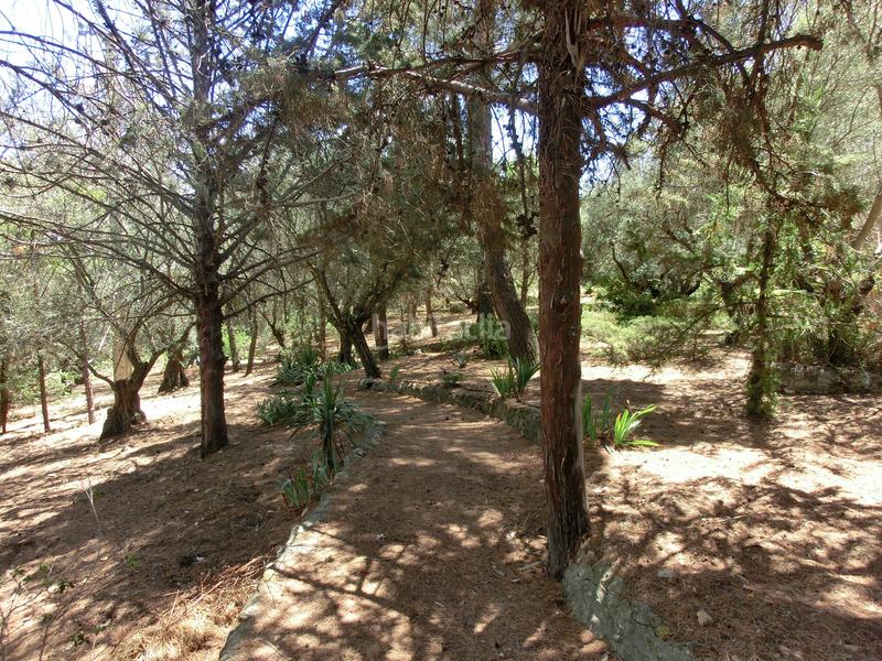 Foto 3f44e955-76fd-47f7-a062-e6fa3d779fe3. Haus mit heizung parking pool in Los Cigarrales-La Bastida Toledo