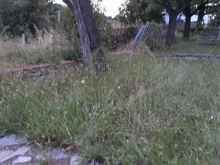 Terrain résidentiel à El Racó-Sant Feliu del Racó. Parcela única 550m2 sant feliu del raco