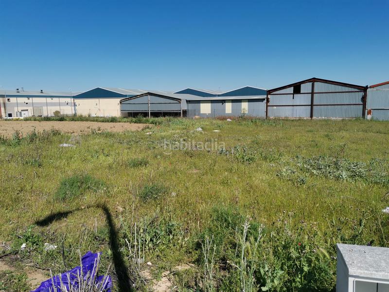 Foto e0aac0af-1ff1-4ff8-a85f-e97b6e73002d. Terreny residencial a Yuncos