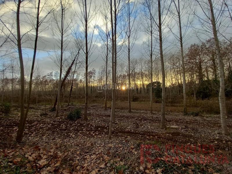 Foto 1269faaf-02cb-43dc-823d-e52eb0992c1b. Finca rústica parcella rústica a deveses en Barri Vell Salt