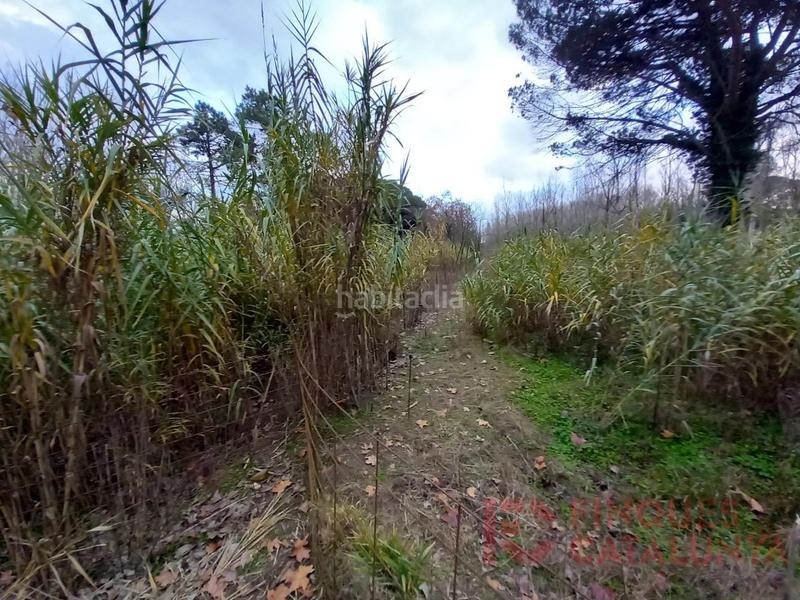 Foto c626f1bb-e5a6-40e4-883c-2d884add970b. Finca rústica parcella rústica a deveses en Barri Vell Salt