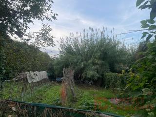 Casa  N/a. Finca agrícola venta salt