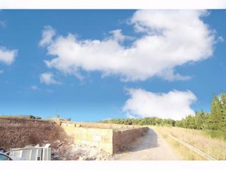 Terreny residencial a Muro. Finca rústica no edificable con agua y electricidad.