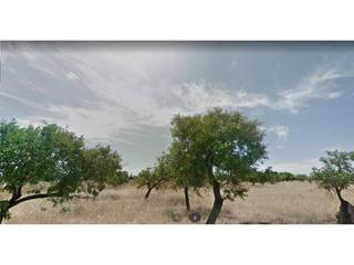 Terreny residencial a Búger. Finca rustica de secano sin pozo, sin electricidad y edificiacio