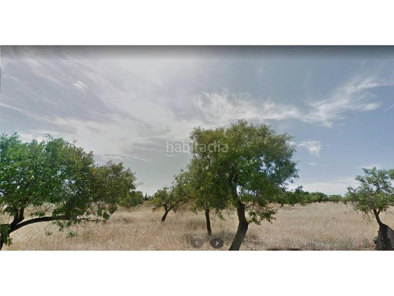 Foto 8515174a-8559-4a98-ac03-8e4733345f73. Terreno residenziale in Búger