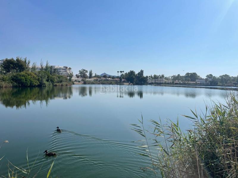 Foto 91bff6d4-d4ae-4421-92a4-33632fb7a7cc. Terreno residencial solar en venta en platja dport d en Alcúdia