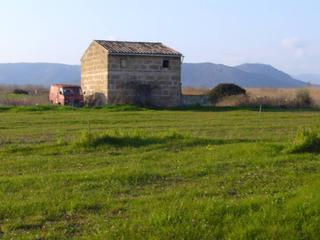 Terreny residencial a Muro. Finca rustica en venta