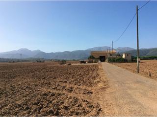 Terreny residencial a Sa Pobla. Finca rustica en venta en sa pobla