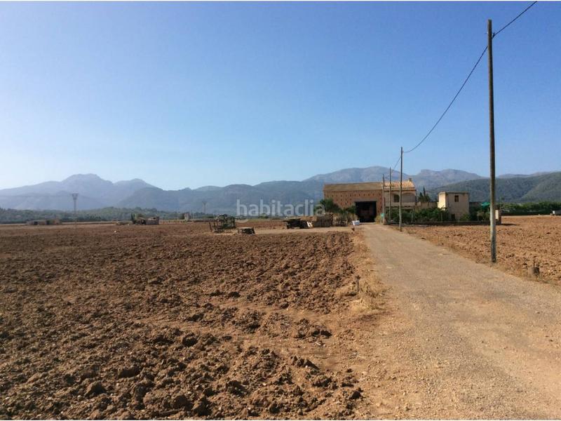Foto 324d4a19-e1d4-4bd7-871a-dd6506f4253d. Terreno residencial finca rustica en venta en Sa Pobla