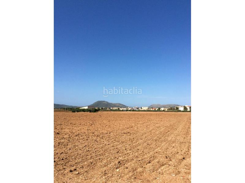 Foto 41f1e2c7-f385-4cde-a75d-a1118154019f. Terreno residencial finca rustica en venta en Sa Pobla