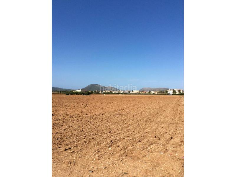Foto 572758e0-cd9d-41fa-9a15-3bd8905d63a9. Terreno residencial finca rustica en venta en Sa Pobla
