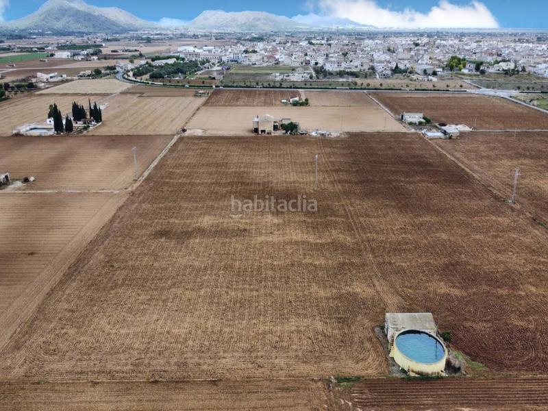 Foto 81f95676-6999-41ee-8484-874cd1cd564f. Terreno residencial finca rustica en venta en Sa Pobla