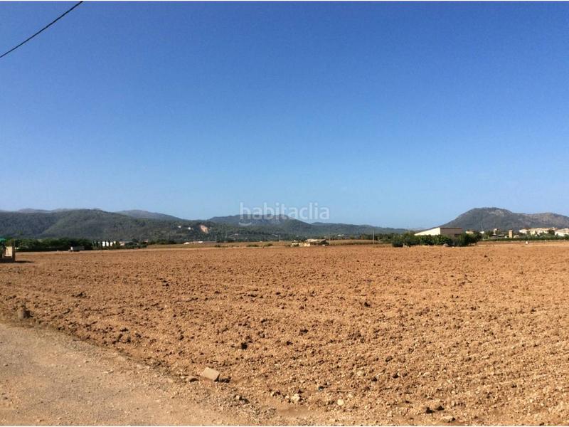 Foto 83785392-ca86-4deb-9a18-a4061d29a17c. Terreno residencial finca rustica en venta en Sa Pobla