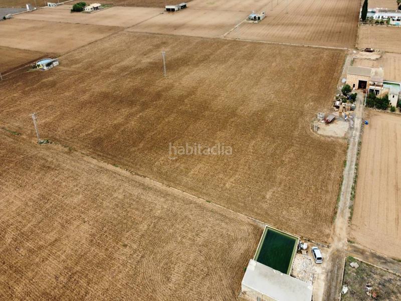 Foto cf36c1b2-5d70-48a8-9c11-d9af630e70c9. Terreno residencial finca rustica en venta en Sa Pobla