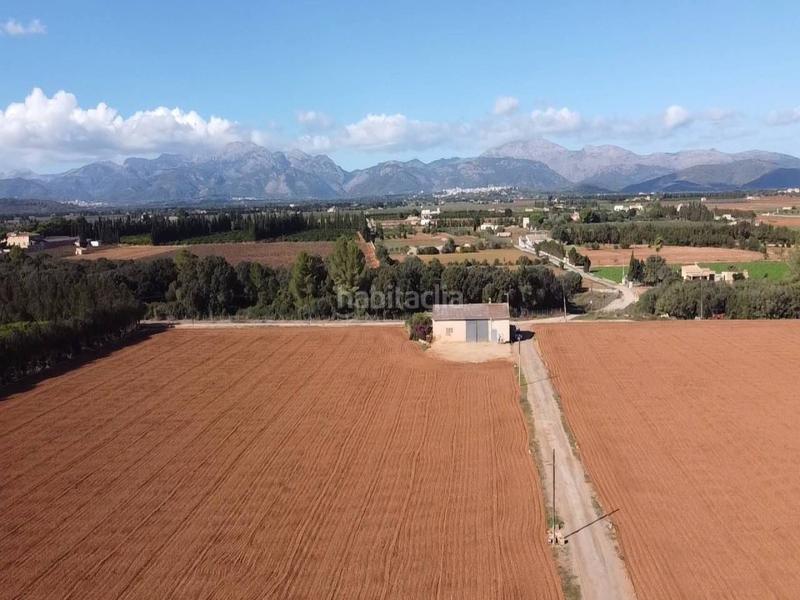 Foto 1e15e7e7-03bb-4590-99f9-2992bcaf8e4e. Terreny residencial a Llubí