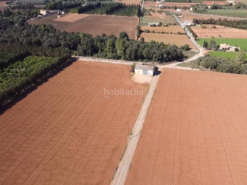 Foto 25721595-4087-4f7b-8842-6507e23db2e2. Terreny residencial a Llubí