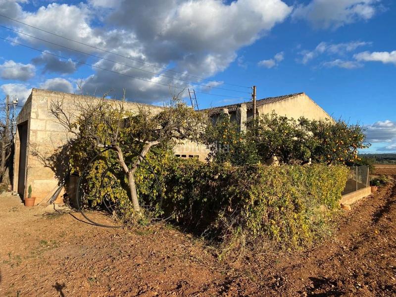 Foto 6f90aa8b-d12c-4d3c-bdf9-438b74b4e097. Terreny residencial a Llubí