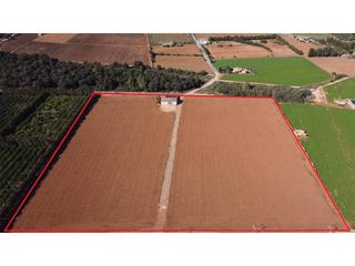 Residential Plot in Llubí. Finca rustica edifcable con electridad y pozo