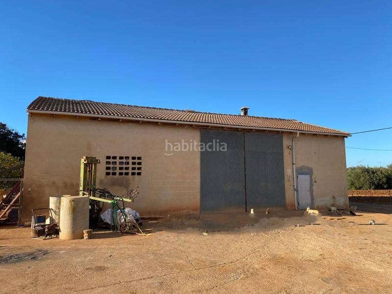 Foto dd043837-e1a5-47b2-b4ae-3516e7697dc4. Terreny residencial a Llubí