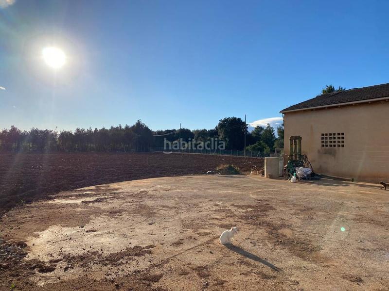 Foto e5ab2ac4-7ff3-471e-94ee-0e4c5dc41b3b. Terreny residencial a Llubí