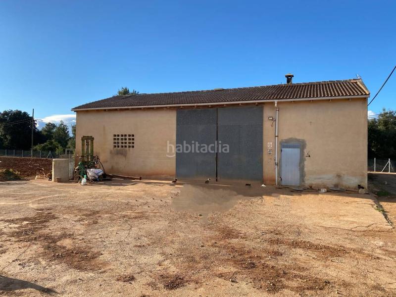 Foto efdbdd16-f4f9-4596-baff-a0069d6ae7be. Terreny residencial a Llubí