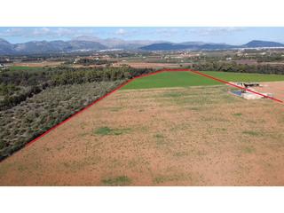 Residential Plot in Llubí. Finca rustica de grandes dimensiones