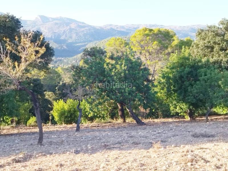 Foto 3f60cfea-974a-4eb9-82f6-d30b752d9fe5. Finca rústica finca rustica edificable en Campanet