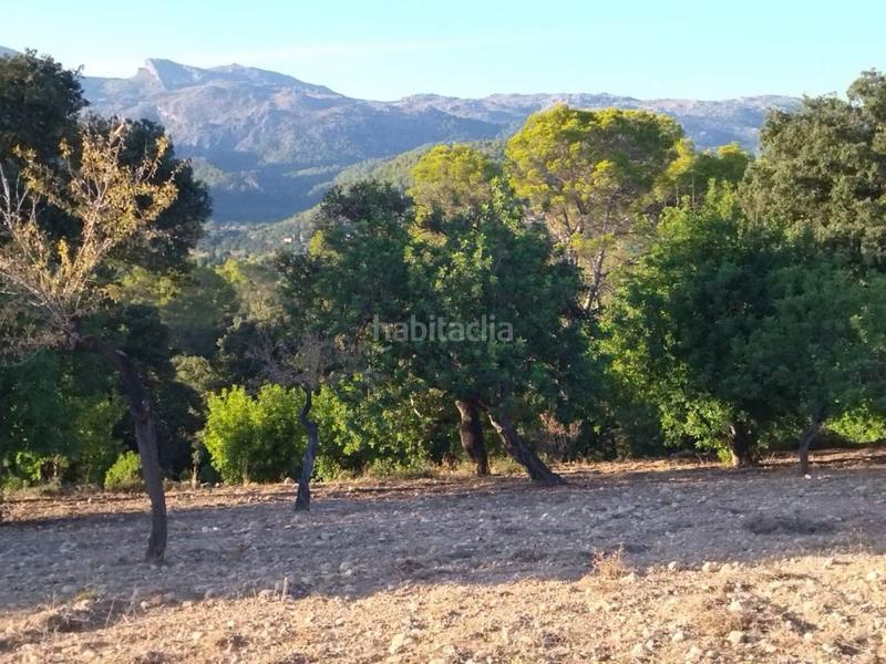 Foto ac32c446-a2e3-4f7a-a160-08e1d95db46d. Finca rústica finca rustica edificable en Campanet