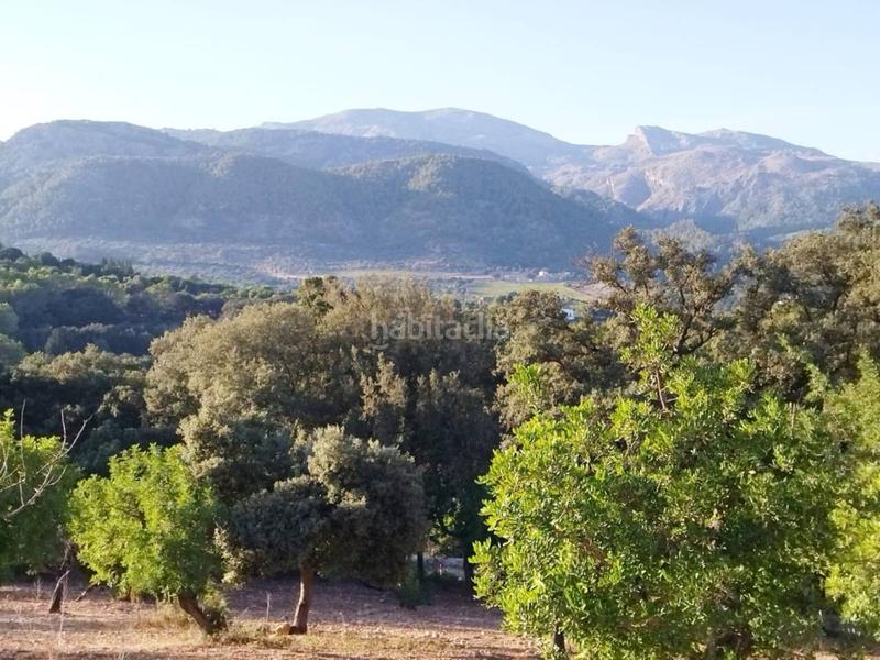 Foto d51d660c-a4ca-4863-bc70-2c122df3a770. Finca rústica finca rustica edificable en Campanet