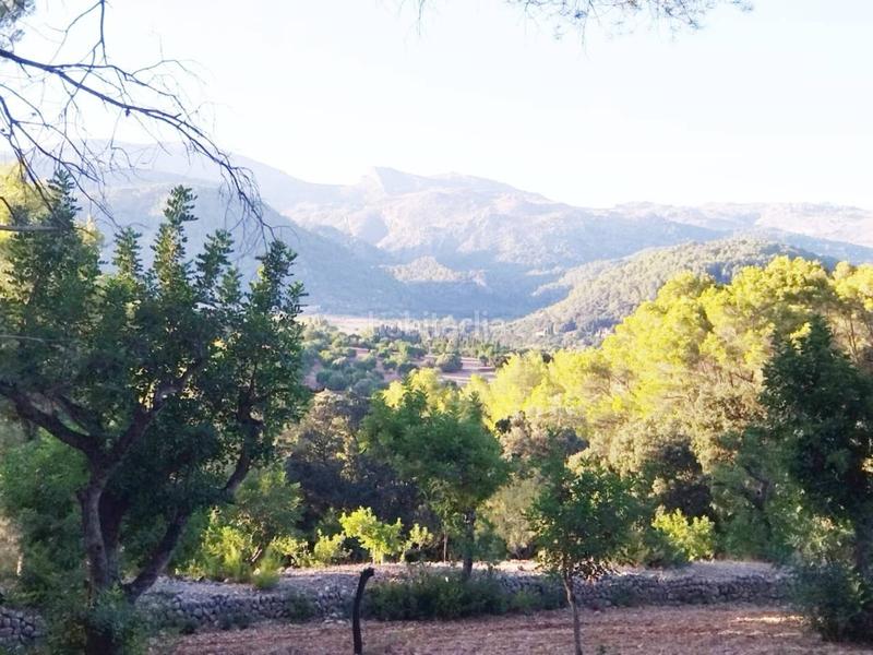 Foto fdc8cada-d136-4659-9211-1237c8b6dbdc. Finca rústica finca rustica edificable en Campanet