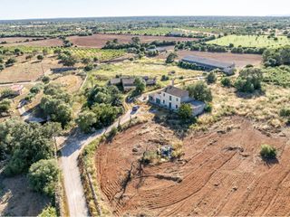 Landgut in Llucmajor Interior. Finca rustica en venta en llucmajor