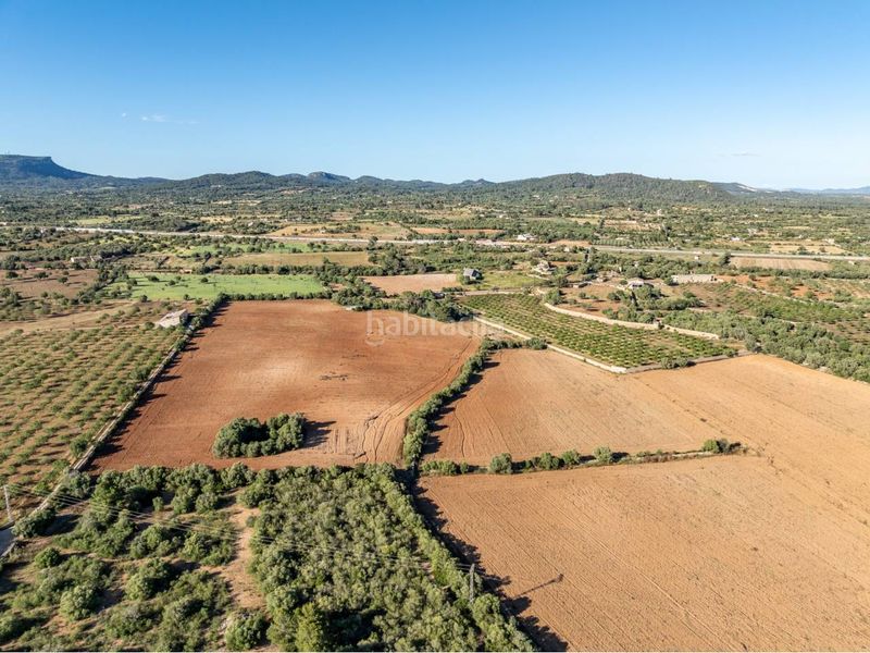 Foto ad3751d5-ea17-44e8-9e49-98a5d4ab14b7. Finca rústica a Llucmajor interior Llucmajor