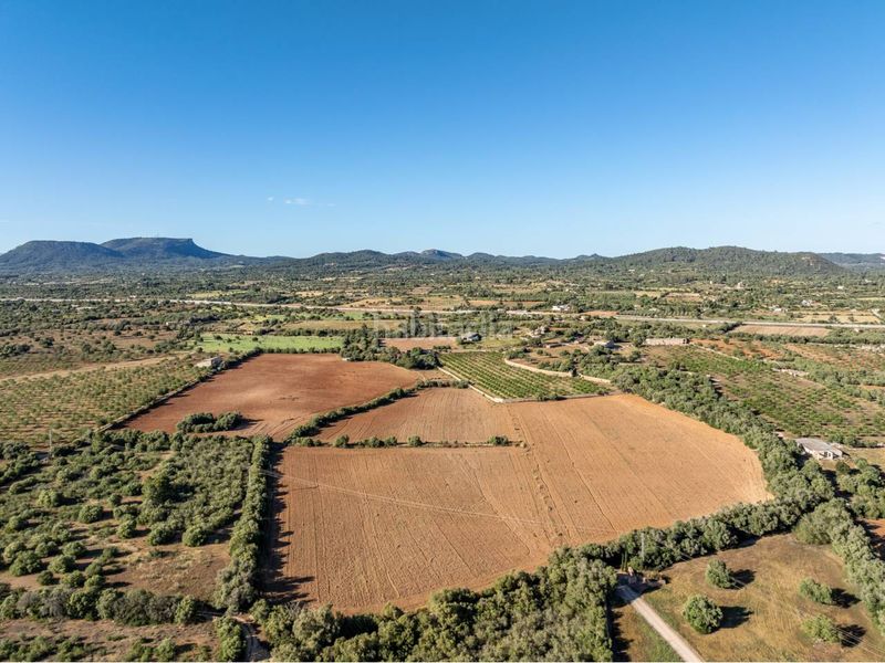 Foto db03b45d-1223-4ba2-bb58-dbc35f93ffe3. Finca rústica a Llucmajor interior Llucmajor