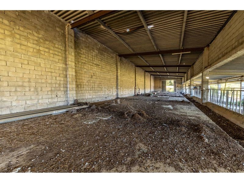 Foto de14cfb7-1fb0-4436-925e-e56206ce7776. Finca rústica a Llucmajor interior Llucmajor