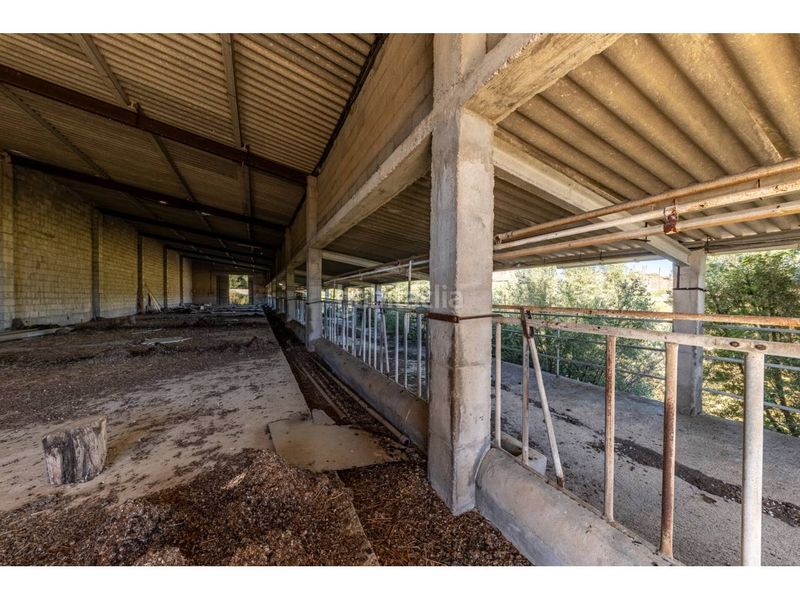 Foto e550f541-4683-4b5d-b031-8d205c48d7f5. Finca rústica a Llucmajor interior Llucmajor