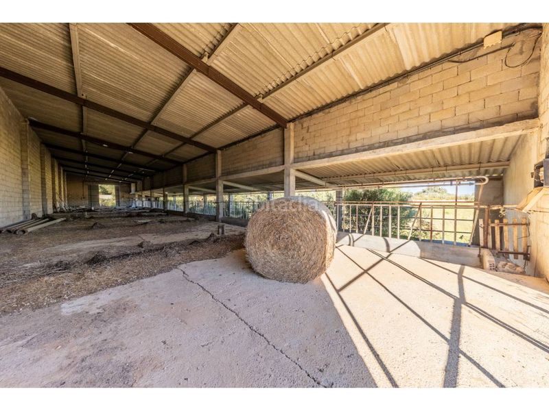 Foto e8c2e62e-d827-4466-9a47-c96db2a3e73d. Finca rústica a Llucmajor interior Llucmajor