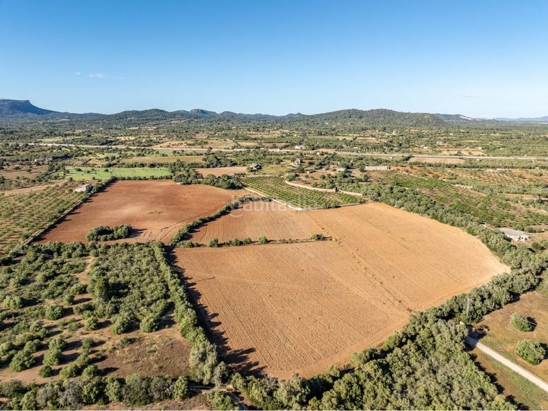 Foto f4447cea-e3a9-4e87-8734-53bc541bc483. Finca rústica a Llucmajor interior Llucmajor