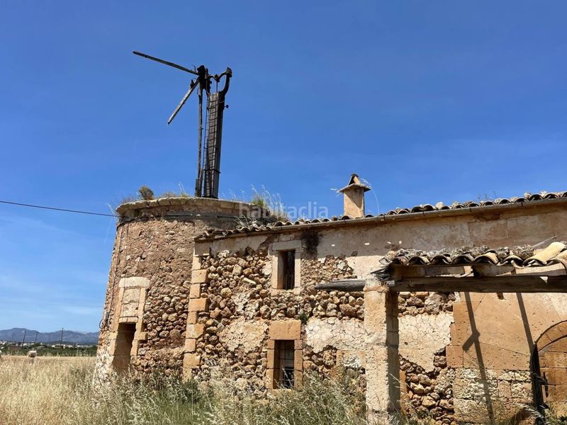 Foto 1fbc9032-74ac-4ecb-b08f-513c069bbd86. Finca rústica a Sa Pobla