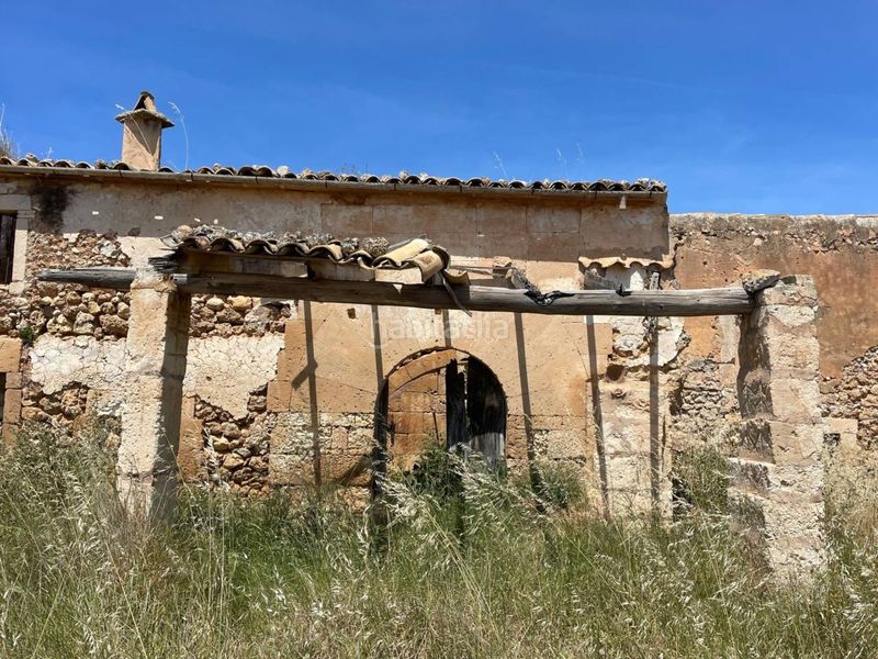 Foto 94df0745-6ec3-450a-9d6f-57fb0b0caafe. Finca rústica a Sa Pobla