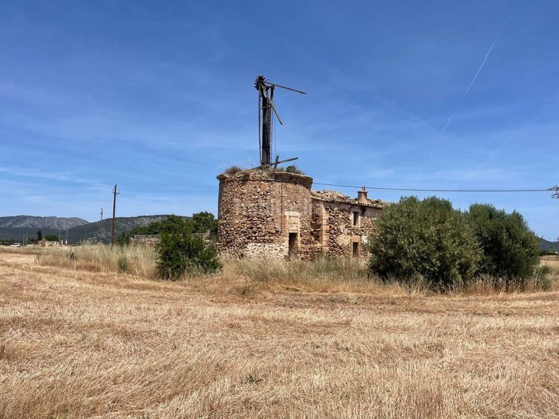 Foto a00c0310-d5ba-4567-92d0-0d414bbee8f2. Finca rústica a Sa Pobla