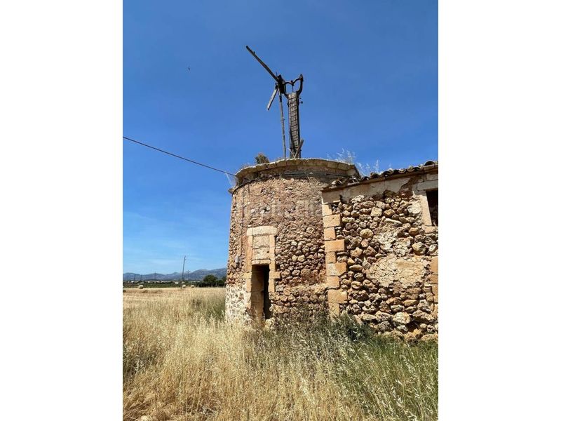 Foto bc92facc-10aa-4773-b488-2dcc7a83bcf2. Finca rústica a Sa Pobla